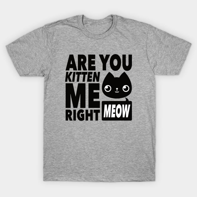 Are You Kitten ME T-Shirt by MontyMolly